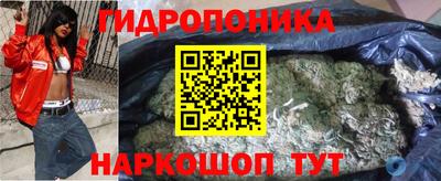 эйфоретик Ачхой-Мартан