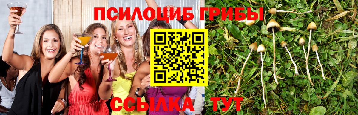 Галлюциногенные грибы мухоморы Мценск