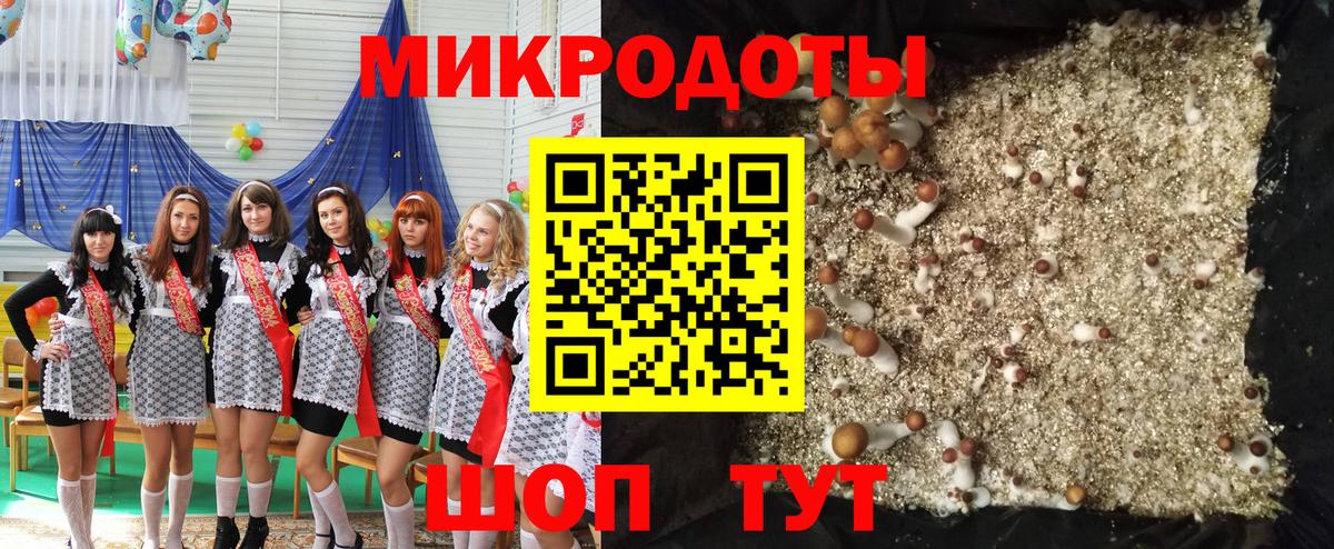 как найти   Вход с VPN  Мценск  Псилоцибиновые грибы GOLDEN TEACHER 